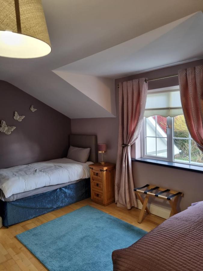 Highfield House Bed And Breakfast Collinstown Collinstown  외부 사진
