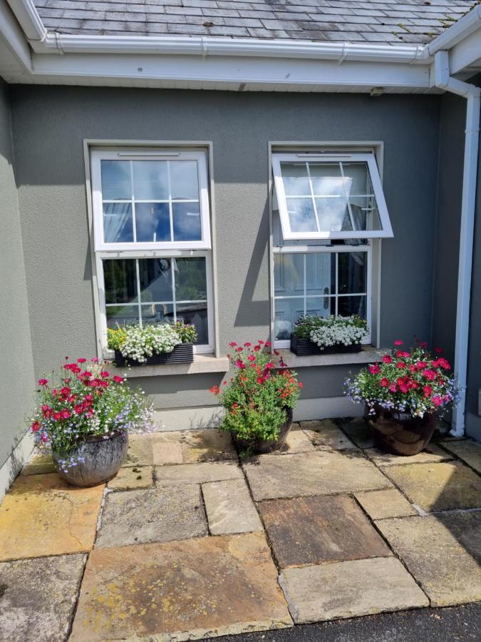 Highfield House Bed And Breakfast Collinstown Collinstown  외부 사진