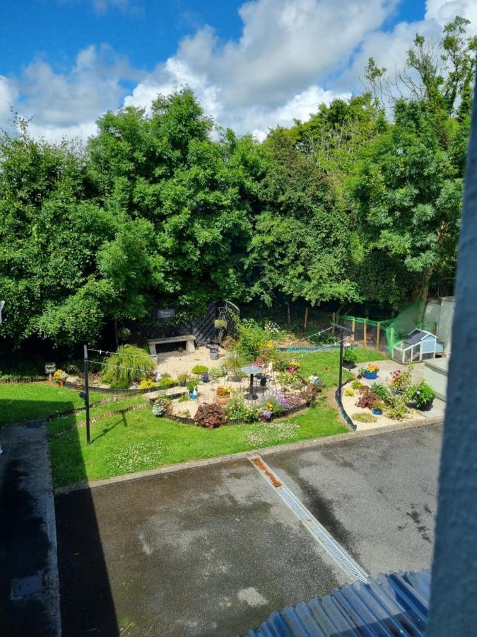 Highfield House Bed And Breakfast Collinstown Collinstown  외부 사진
