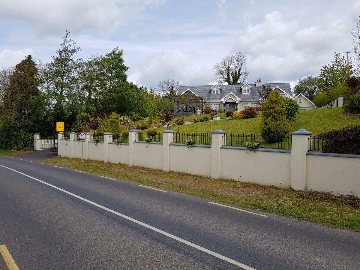 Highfield House Bed And Breakfast Collinstown Collinstown  외부 사진